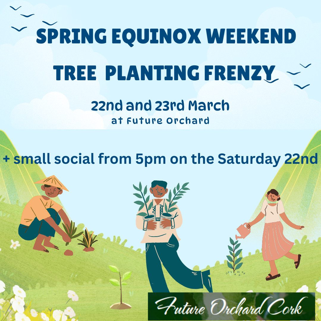 Equinox Weekend planting frenzy