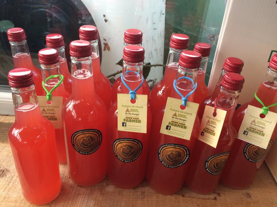 Future Orchard Cork